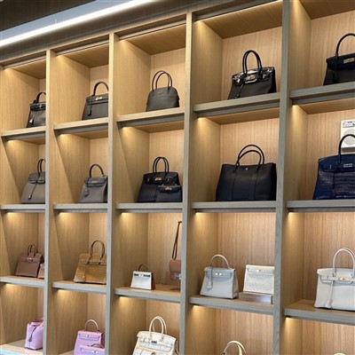 ہینڈ بیگ ڈسپلے شوکیس